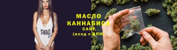 крисы Козельск