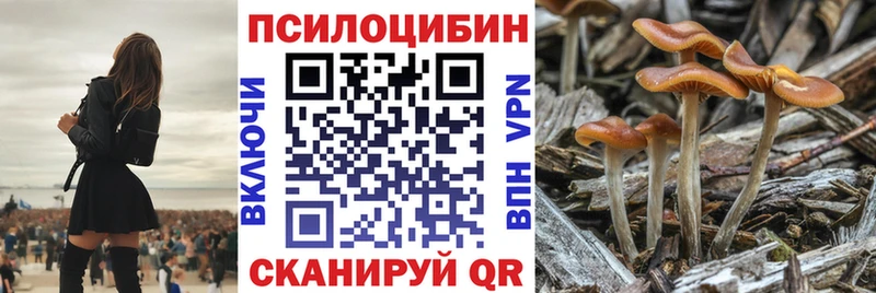купить закладку  Кимовск  Псилоцибиновые грибы мухоморы 