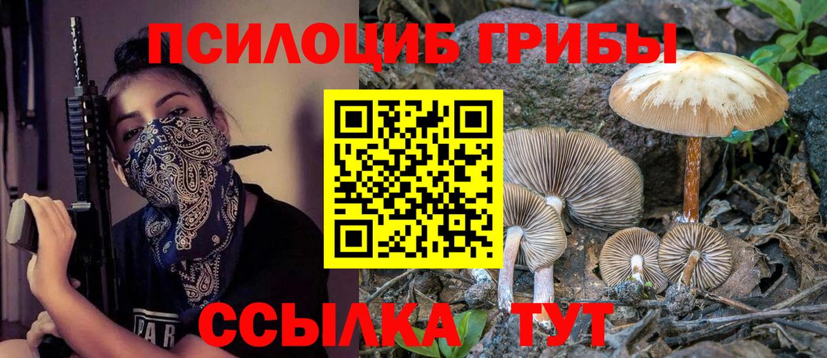Псилоцибиновые грибы Magic Shrooms  Вход с VPN  Кимовск 